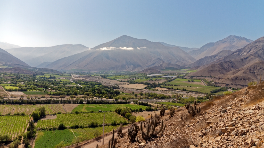 03 - La Serena (27) - Vicuña.jpg